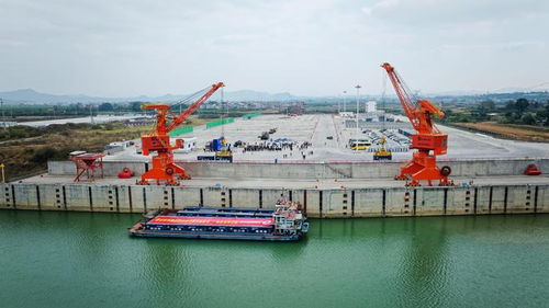 廣西百色 粵港澳大灣區(qū)集裝箱班輪航線開(kāi)通